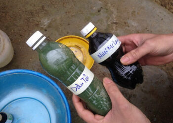 cach-phuong-phap-phong-benh-cho-ga-2