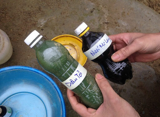 cach-phuong-phap-phong-benh-cho-ga-2