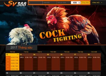 nha-cai-sv-388-da-ga-2