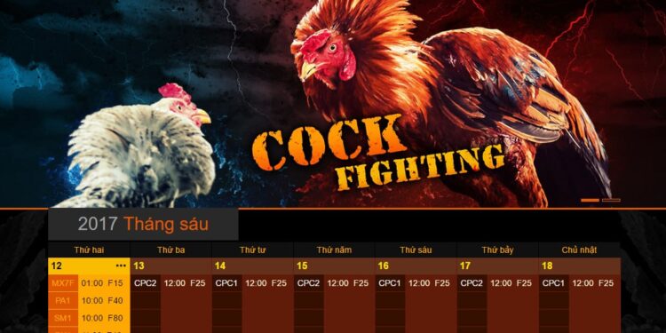 nha-cai-sv-388-da-ga-2