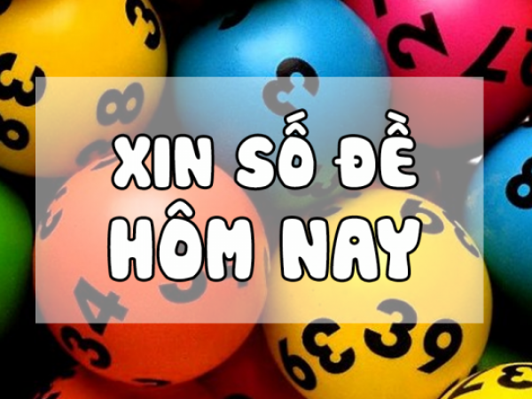 xin-so-de-hom-nay-1