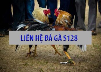 Liên hệ đá gà S128 ngay hôm nay