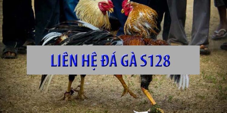 Liên hệ đá gà S128 ngay hôm nay
