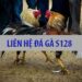 Liên hệ đá gà S128 ngay hôm nay