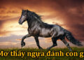 Giải mã giấc mơ thấy Ngựa