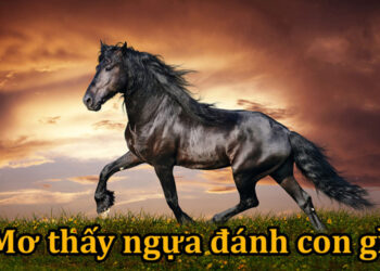 Giải mã giấc mơ thấy Ngựa