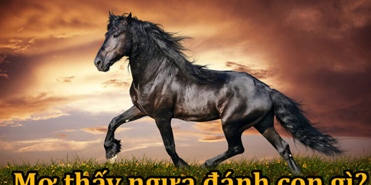 Giải mã giấc mơ thấy Ngựa