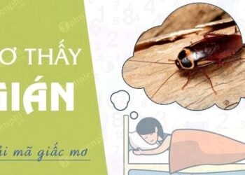 Mơ thấy gián-tin-1
