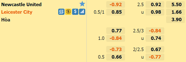 Newcastle vs Leicester-soi-keo-2