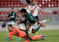 Palmeiras vs River Plate-soi-keo-2