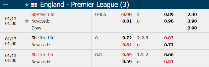 Sheffield Utd vs Newcastle-soi-keo-2