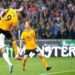 Wolves vs Everton-soi-keo-2