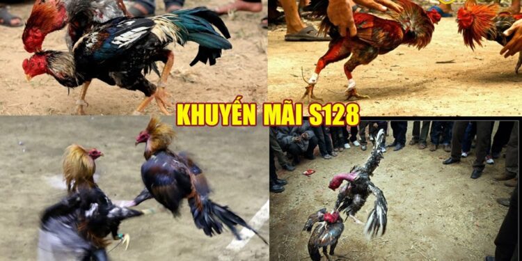 khuyến mãi S128 -cai-s128-1