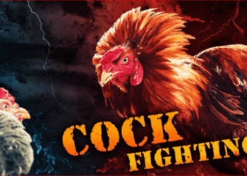 nhà cái SV388-nha-cai-3