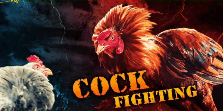 nhà cái SV388-nha-cai-3