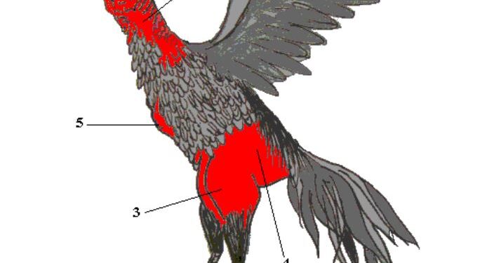 tử huyệt-soc-ga-hieu-qua-1