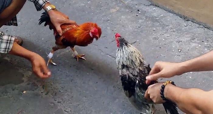 HƯỚNG DẪN ĐĂNG NHẬP SV388