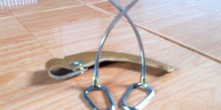 đá gà cựa sắt ở Campuchia-1