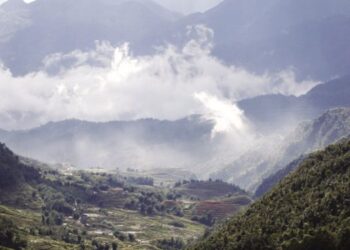 mơ thấy Rừng núi-1