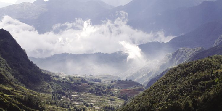 mơ thấy Rừng núi-1