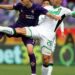Sassuolo vs Fiorentina-tin-bong-2