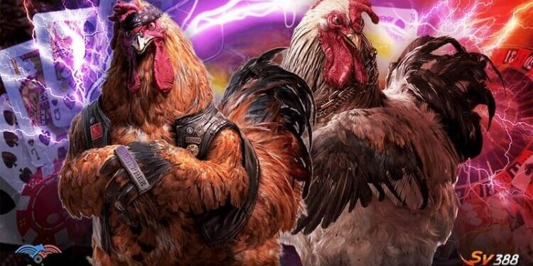 Đá gà trực tuyến SV388 – Giới thiệu về website đá gà hàng đầu Châu Á