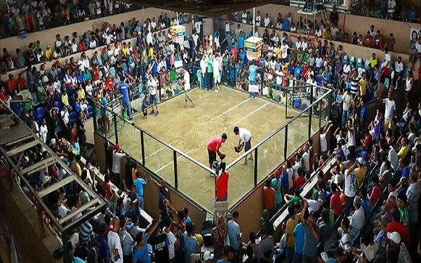 Đá gà ăn tiền trực tuyến “Hot” nhất tại M8Win