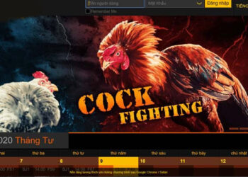 Kinh nghiệm đá gà SV388 của các game chia sẽ thực tế